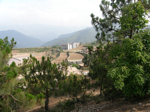 图片来源:http://i1.itc.cn/20080603/60c_e7fcd80c_9af7_4791_ab17_5e6d447f8132_0.jpg