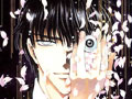 CLAMP���䡶��ս�ǡ��ֻ�ͼ��