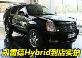 ���׵�Hybrid