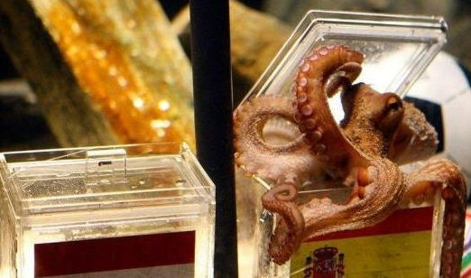 ����۱���Ԥ��������ʤ�������