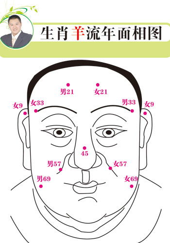 海智生肖 12生肖兔年面相运程揭秘-搜狐星座