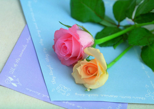 2011年12星座的爱情缘分