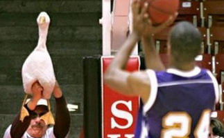 ������Ե��������� ��ѧ����������߸��ŷ���