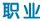 职业
