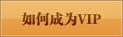 如何成为vip 如何成为vip