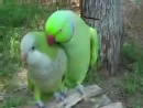 ����Ҳ���飡���ߵ�������Ҫ����������