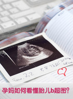 怀孕了如何看懂胎儿b超图