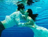 ���ŷ�������Ī�ƻ�ɴ��