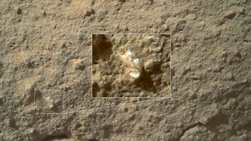 好奇号发现疑似生命体