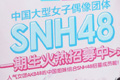 SHN48������ļ