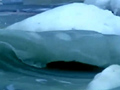 �ຣ��������׳��