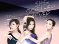 SHE2013����Ѳ���Ϻ�վ
