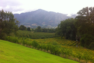 ����С��Franschhoek����ʳ��������