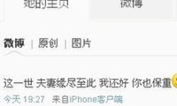 2013年9月13日，王菲发微博离婚