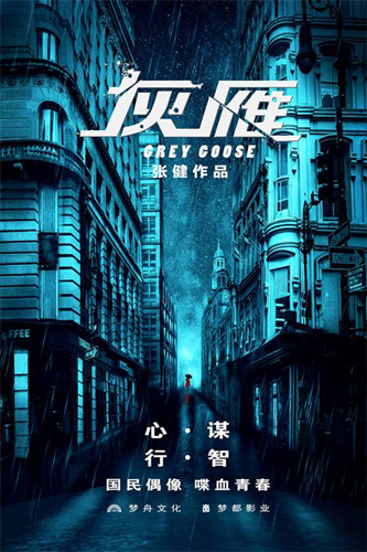 电视剧《灰雁》概念海报